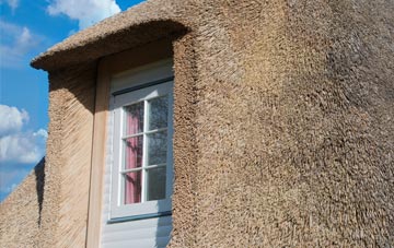 Ellens Green thatch roof disadvantages
